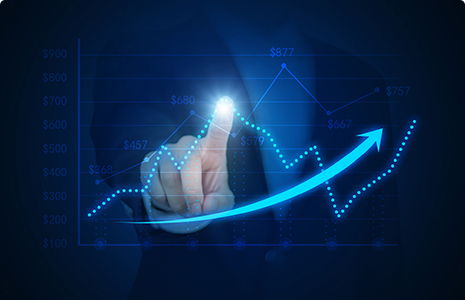 完善制度，规范流程，严格履行信息披露义务